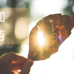 美女大逼被操视频
