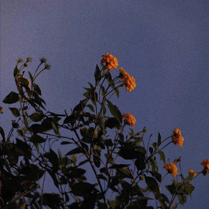 美女大逼被操视频
